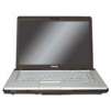 Toshiba Satellite A215-S4767 Notebook - 15.4", 2GB RAM, 250GB Hard Drive, Vista Ultimate