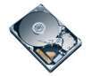 Maxtor 160GB Serial ATA (SATA) Hard Drive
