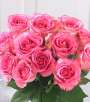 The FTD Pink Rose Bouquet - 12 Stems