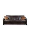 Trace Convert-a-Couch Brown Renu Leather Futon Sofa Sleeper