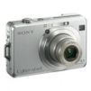 Sony DSC-W100 8.1-Megapixel Digital Camera