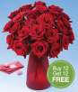 Two dozen assorted Roses + Free Ginger Vase
