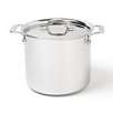 All-Clad 7 Quart Stockpot with Lid