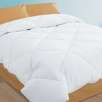 Aeolus Everyday Basics Down Alternative Comforter