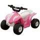 Mini Power Quad Ride-On