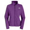The North Face Apex Bionic Jacket from $94.95: Women (Large) or Men (X-Large, XX-Large)