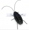 Solar Energy Powered Cockroach Toy Gift