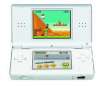 Nintendo DS Lite Game System