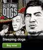Sleeping Dogs: Limited Edition (PC Digital Download)