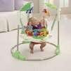 Fisher-Price Rainforest Jumperoo