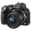 Panasonic Panasonic Lumix DMC-G5 16.1 Megapixel Mirrorless Camera (Body with Lens Kit)