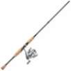 Pflueger Arbor Spinning Combo