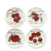 Primavera Pasta Salad Plates, Set of 4