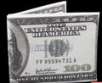 100 US Dollars Bill Style Wallet