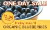 Fresh organic Blueberries for $1.99/pint on Friday 5/31 (In-store Only)