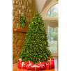 Pre-Lit Trees with Bonus Wreath Starting at $63.99