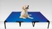 PetZoom Elevated Pet Cot