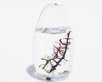 EcoSphere Small Pod