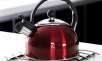 2.5QT Stainless Steel Whistling Tea Kettle