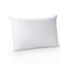 Lauren Ralph Lauren Logo Pillow, MaryJane