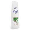 Dove Shampoo, Cool Moisture, 12 fl oz (355 ml)