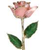 12-inch Pink Rose with 24k gold trimmed