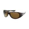 HARLEY DAVIDSON HDX819 TO-1 Tortoise Sunglasses