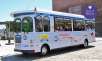 Tour Packages from CityView Trolley Tours from $20, Whale-Watching Tour from Newburyport Whale Watch from $29