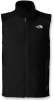 The North Face RDT 300 Fleece Vest - Men