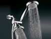 DreamSpa Luxury 36-Setting 3-Way Combo Shower Head