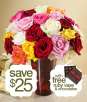 Two Dozen Assorted Roses w/ FREE Chocolates & Vase