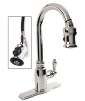 Danze Opulence Pull-Down Chrome Kitchen Faucet