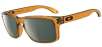 Oakley Unisex Holbrook Polarized Sunglasses