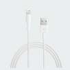 Free Apple Lightning to USB Cable