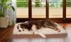 Furhaven Orthopedic Pet Mattresses from $15.29