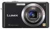 Panasonic DMC-FX100K 12.2MP Digital Camera