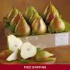 The Favorite Royal Riviera Pears (9-piece, 5lb)