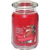 Yankee Candle Holiday Cinnamon Candle, Large Jar