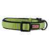 KONG Dog Collars: Comfort or Reflective