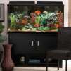 Marineland 60-Gallon Heartland Aquarium Ensemble