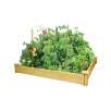 Greenes Cedar Raised Garden Bed (RC4S4B)