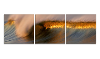 20"x60" Landscape Photography Triptychs
