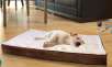 Orthopedic Pet Beds from $16.99