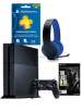 Sony PlayStation 4: The Last of Us Bundle + 1-Year PS Plus + Sony Silver Wired Headset
