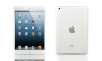 Apple iPad mini 16GB 7.9" Tablet with WiFi and 5MP iSight Camera
