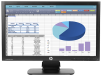 HP ProDisplay P202 20-inch Monitor