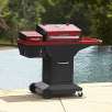 Myron Mixon Pitmaster Q3 Pellet Grill and Smoker