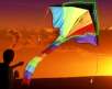 Colorful Light Up Night-flying Kite