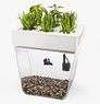 Back to the Roots Aquafarm Aquaponic Indoor Garden with Self Cleaning Fish Tank