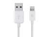 Apple Certified Lightning to USB Charge & Sync Cable: 3ft $1.99 or 6ft $2.99